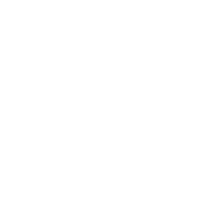 Ality logo