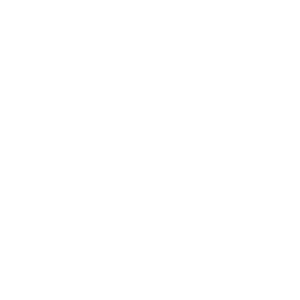 DISHU logo