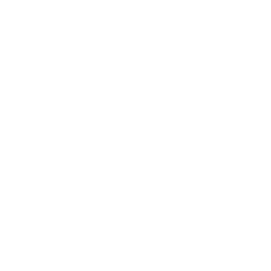 Mentus logo