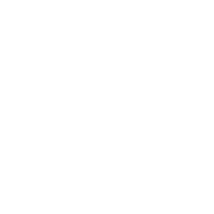 Merauto logo