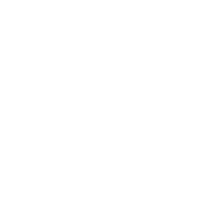 Pakal logo